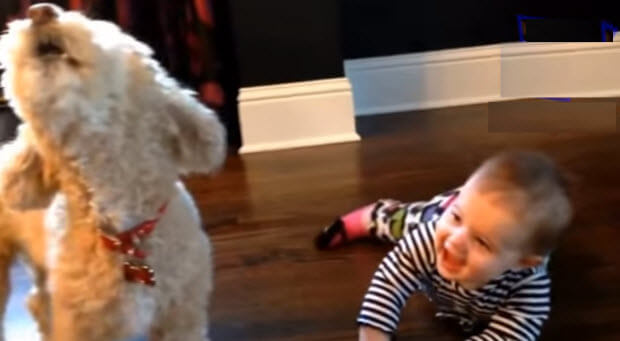 babies-with-their-pet-dogs