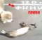 cat playing dead in front of finish line