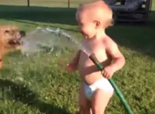 funny dog playing with baby