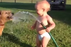funny dog playing with baby
