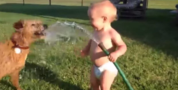 funny dog playing with baby