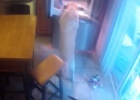 yellow lab goes to the fridge