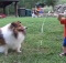 boy is playing with dog and water