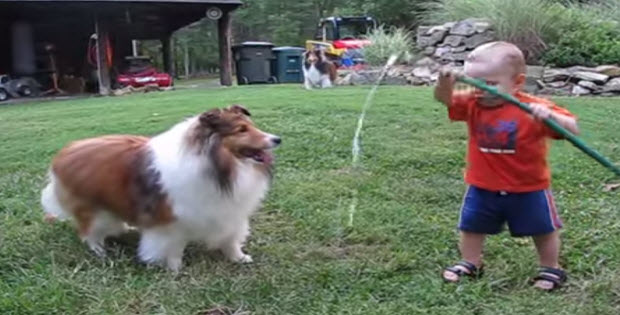 boy is playing with dog and water