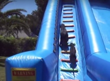 dogs on water slide