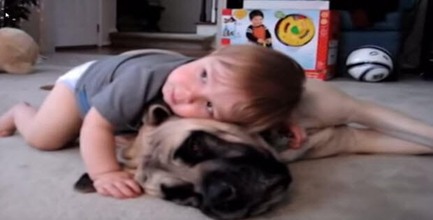 cute-boy-with-mastiff4