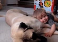 cute boy with mastiff