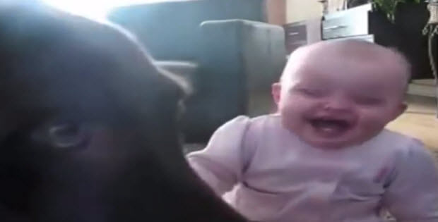 funny-videos-baby-dogs3