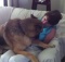 german shepherd is happy to reunite with his mom