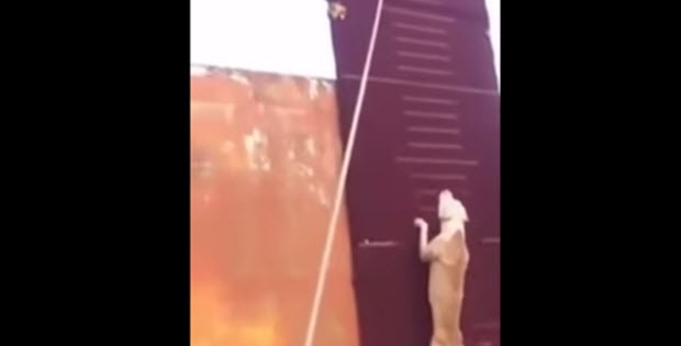 dog runs up 14 fee wall