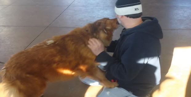 dog-reunite-with-owner-after-20-months