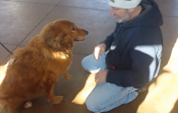 dog-reunite-with-owner-after-20-months3