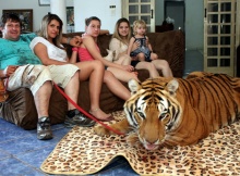 Pet Tigers