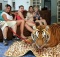 Pet Tigers