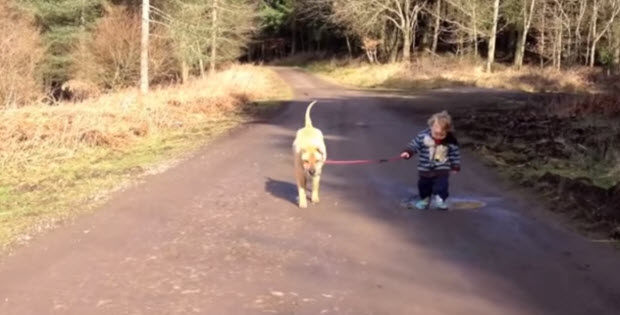 dog-is-playing-with-his-baby-boy-owner2