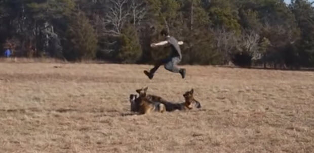 German Shepherd Awesome Pack