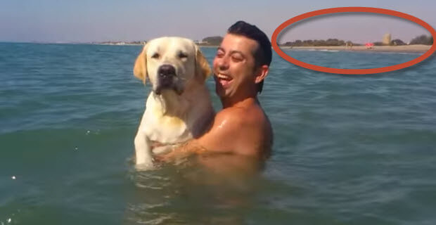 white labrador swimming in the ocean