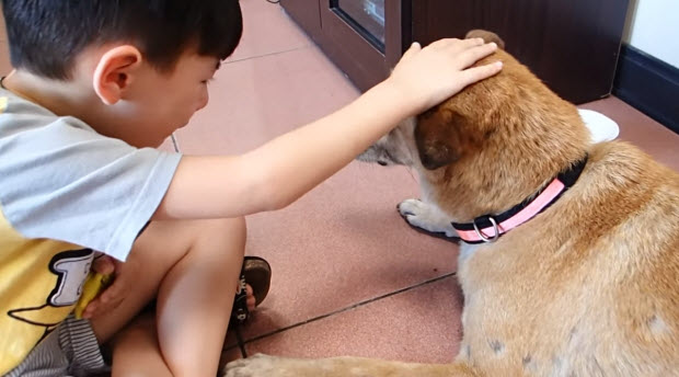 boy says good bye to his dog at vet's office