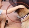 boy says good bye to his dog at vet's office