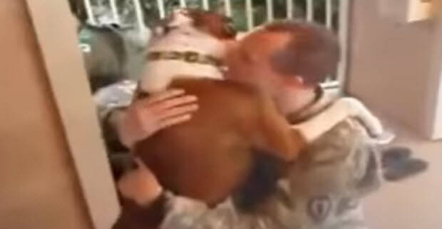 dogs-reuniting-with-soldiers-2