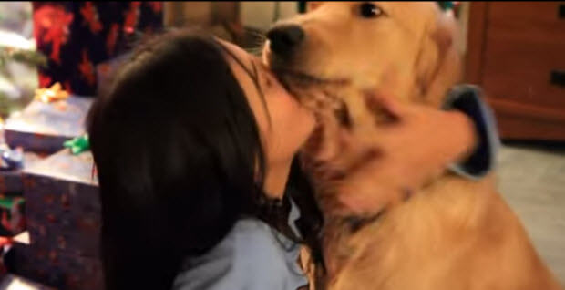 golden-retriever-dog-giving-kisses