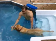 golden retriever first swim in the pool
