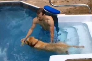 golden retriever first swim in the pool