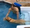 golden retriever first swim in the pool