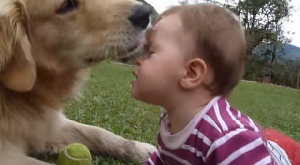 huge-dog-with-tiny-baby