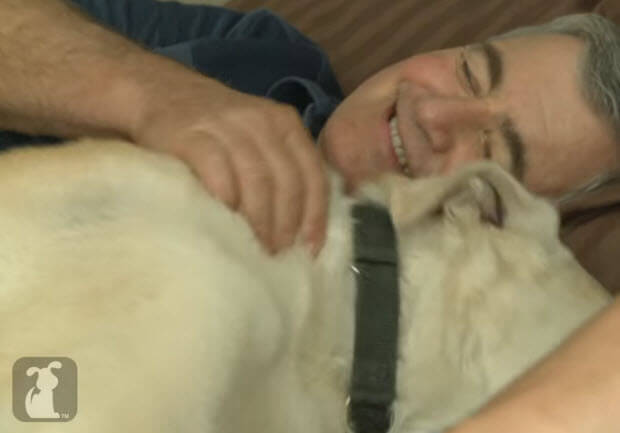 labrador helps blind man regain independence