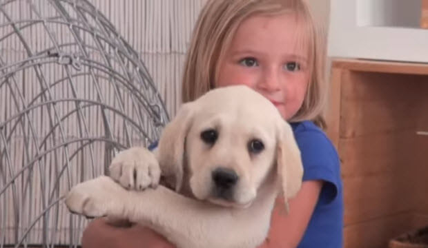 white-labrador-puppy-with-kids