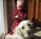 white-lab-with-baby