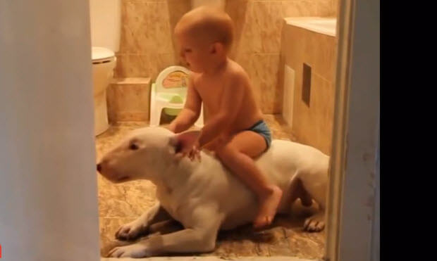 babies-with-huge-dogs-playing-2