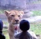 kids love zoo