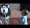 dog imitating baby