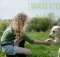 labrador dog training