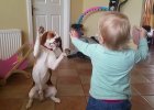 dogs are family
