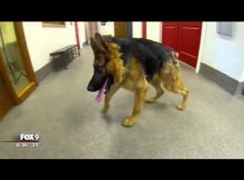 gsd with spine defect