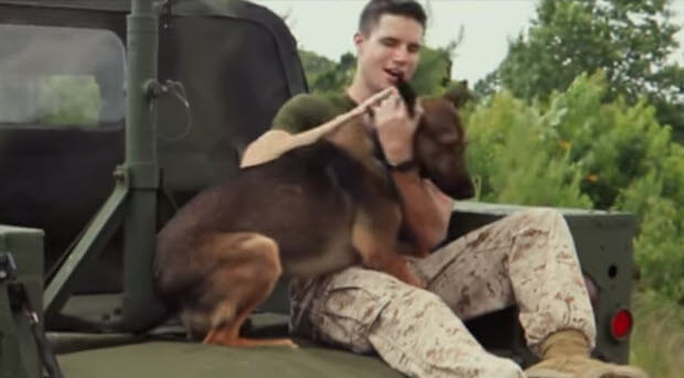 max dog movie soldier ptsd