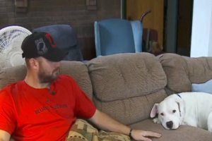 rescued-pit-bull-terrified-people