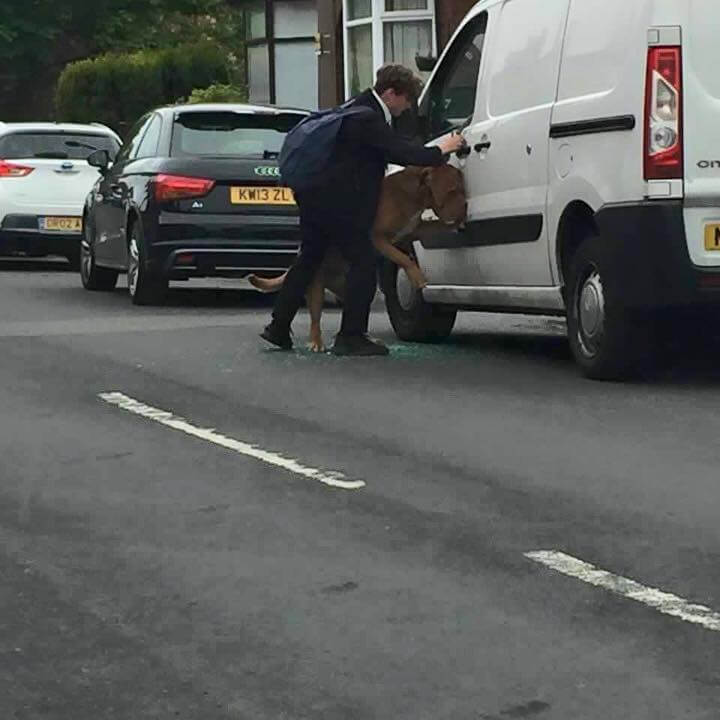 boy-smash-car-window-save-dog-2