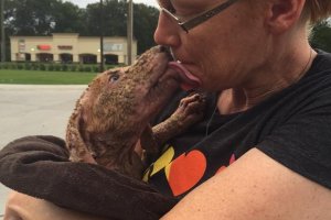 dog dumped like a trash from the car