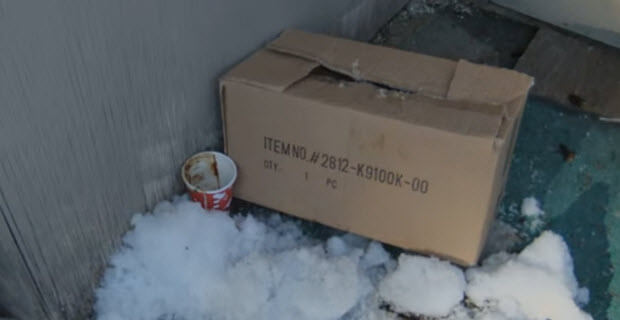 dog left die frozen box