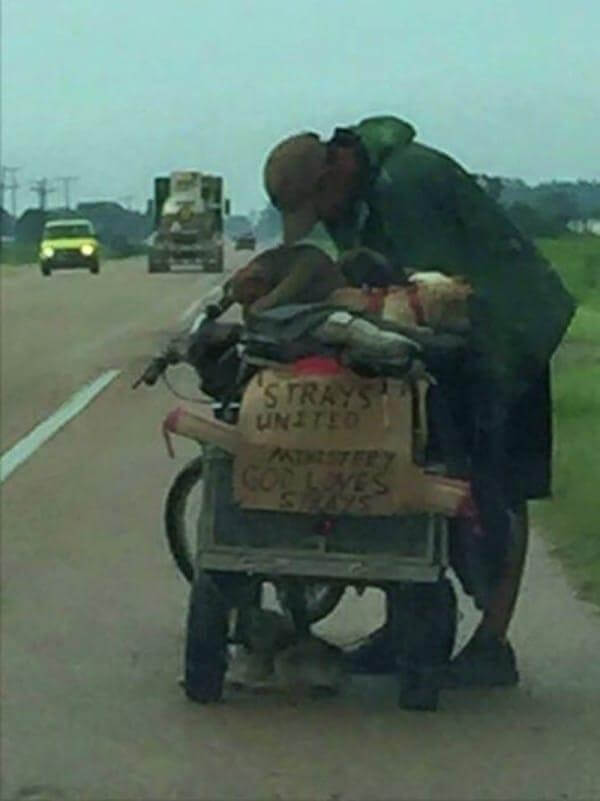 homeless-man-rescues-dogs-m