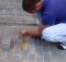 pregnant dog buried alive