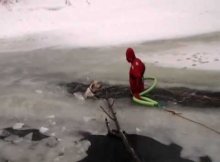 lab fell icy water