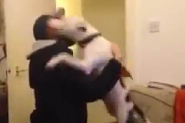 dog-reunited-owner