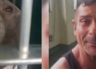 man cries pit bull stolen