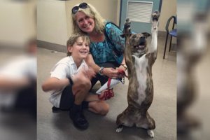 shelter dog excited to go home