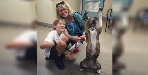 shelter dog excited to go home